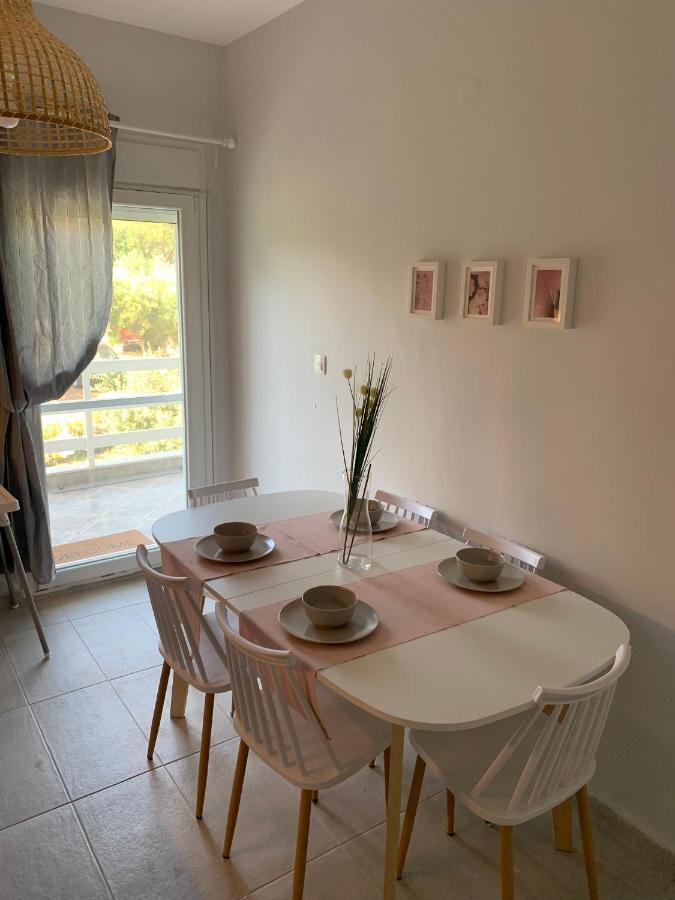 Gerakini Apartment Псакудия Экстерьер фото